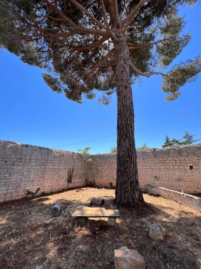 Апартаменты Masseria Concorrano Кастеллана-Гротте Экстерьер фото